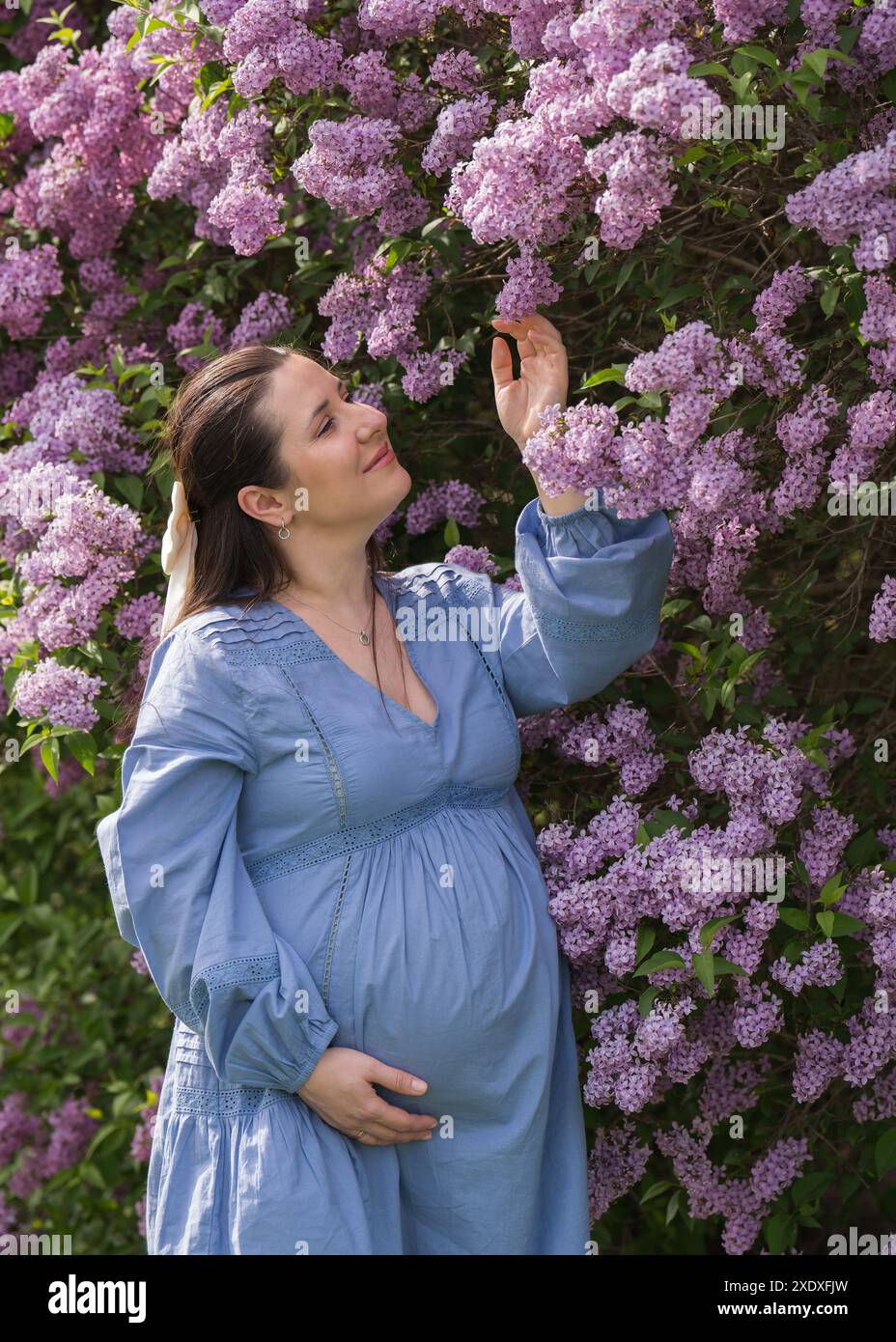Porträt eines süßen, glücklichen Mädchens. Schwangere Frau nahe Flieder. Nahaufnahme. Schwangerschaft. Warten auf das Baby. Stockfoto