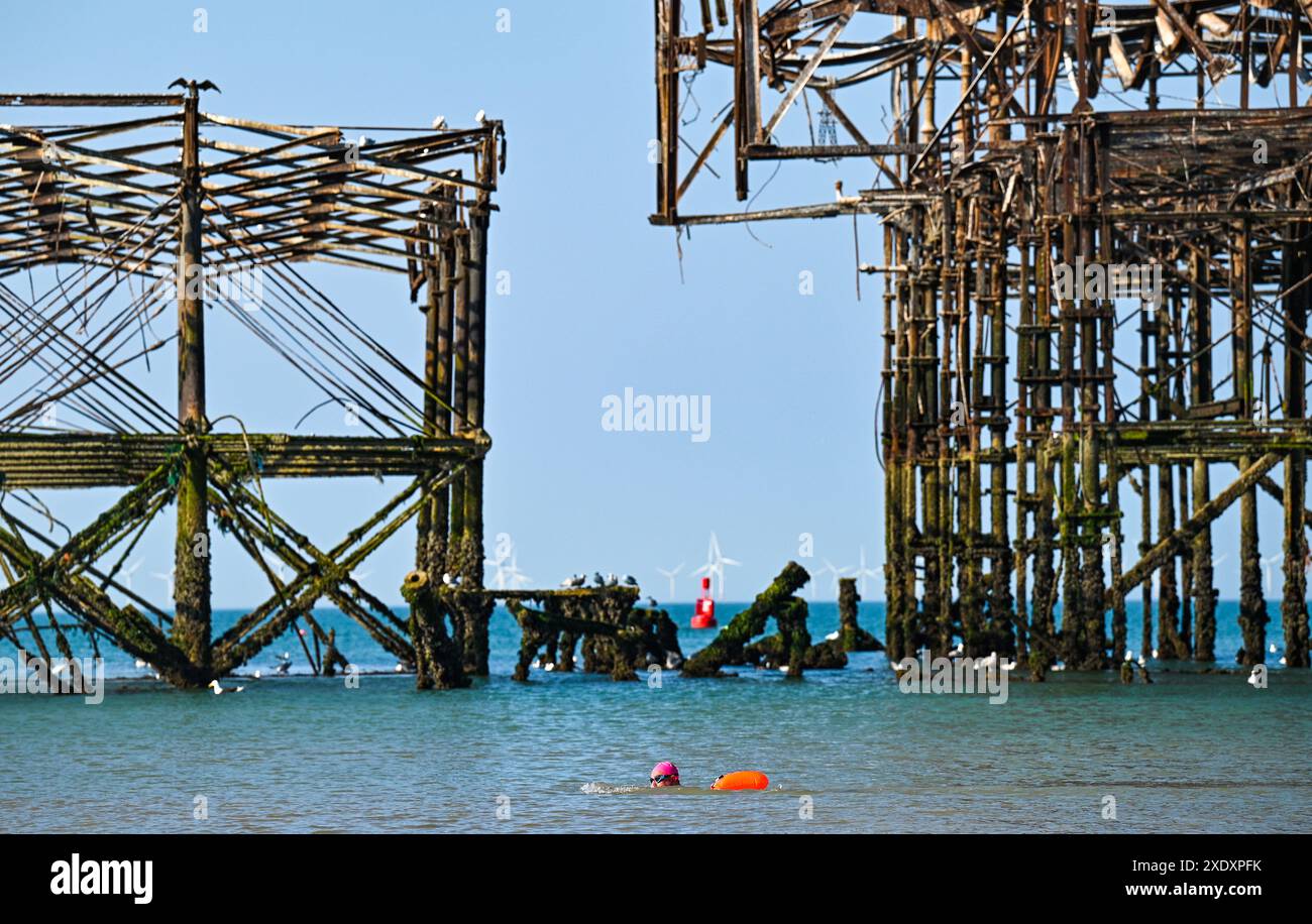 Brighton Großbritannien 25. Juni 2024 - Ein Schwimmer kommt an einem schönen, heißen, sonnigen Morgen am West Pier in Brighton vorbei und die Temperaturen werden in Teilen Großbritanniens heute 30 Grad erreichen : Credit Simon Dack / Alamy Live News Stockfoto