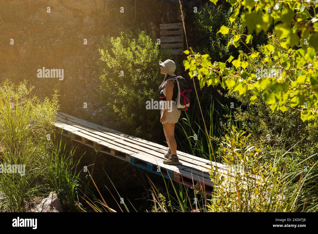 Frau mit Hut und Rucksack steht auf einer rustikalen Holzbrücke, im Sonnenlicht, umgeben von üppigem Grün während einer Wanderung. Stockfoto