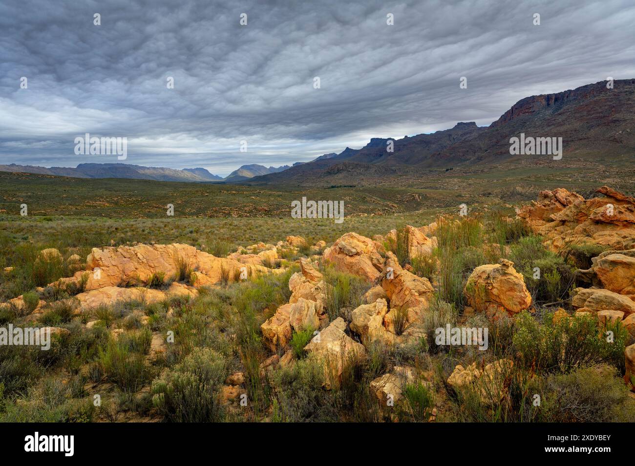 Felsformationen im Tal mit Sturmwolken im Hintergrund, Cederberg Mountains, Westkap, Südafrika. Stockfoto