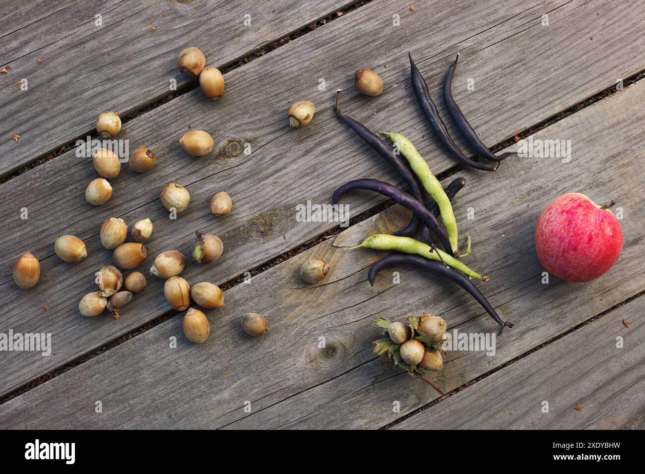 Erbsenschoten, Haricot-Bohnen, Haselnüsse und roter Apfel Stockfoto