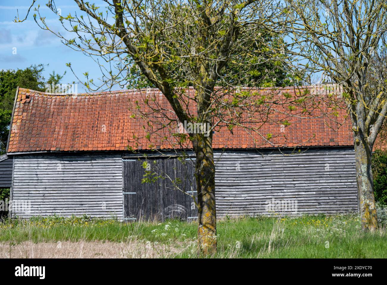 Holzscheune Saxtead Suffolk England Stockfoto