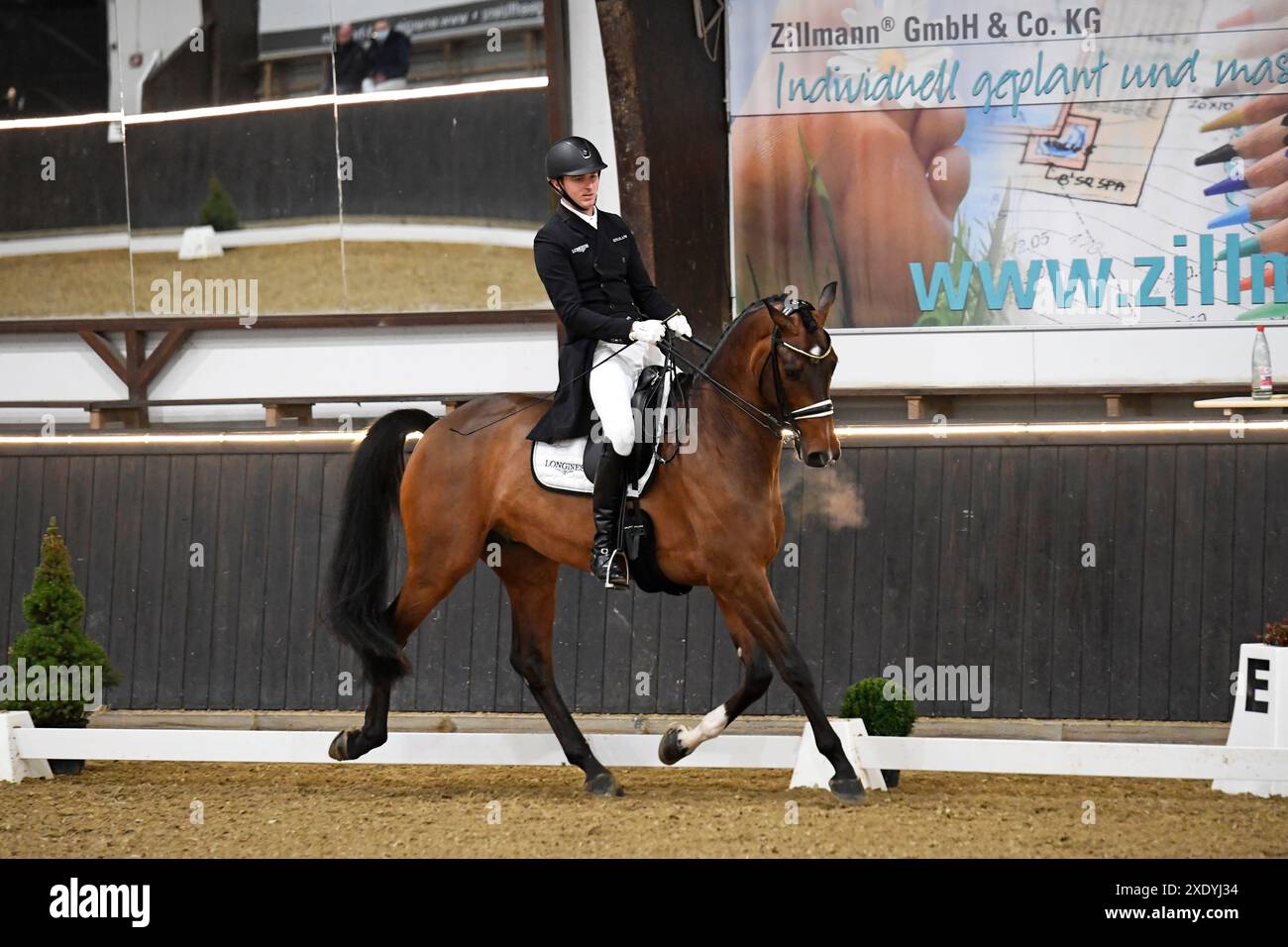 S Dressurreiten in Darmstadt Kranichstein Winter-Tour IV Stockfoto