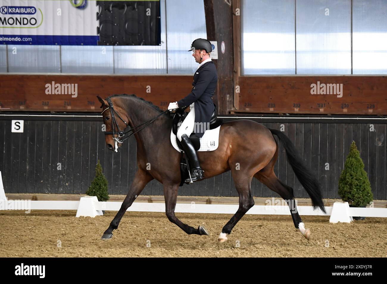 St. Georg Special Dressurreiten in Darmstadt Kranichstein Winter-Tour IV Stockfoto