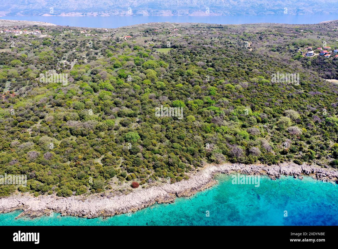 adriaküste, felsige Küste und Macchia der Insel Pag, aus der Vogelperspektive, Kroatien, Dalmatien Stockfoto