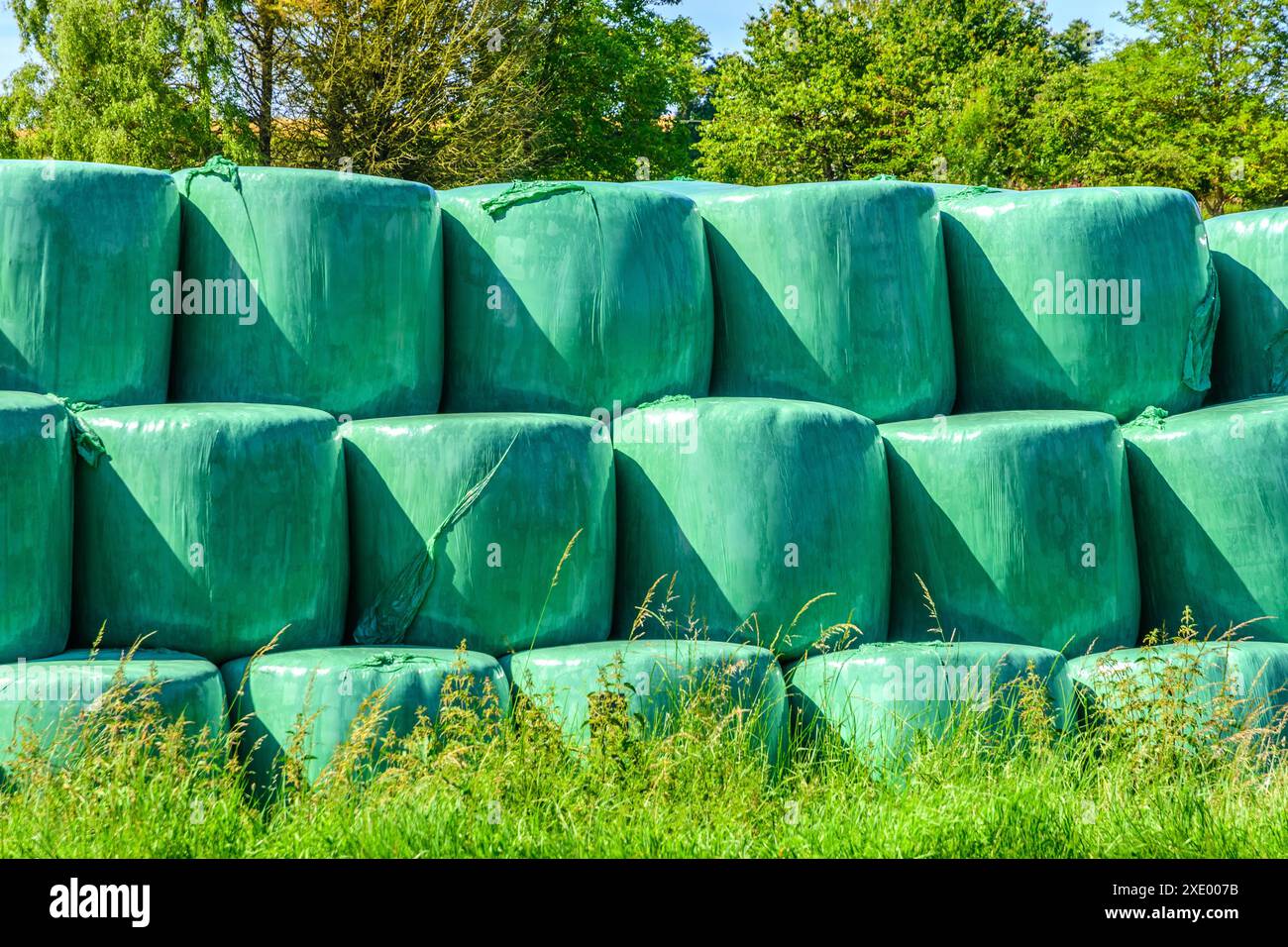 Strohballen in Plastikfolie für Tiere - Bossay-sur-Claise, Indre-et-Loire (37), Frankreich. Stockfoto