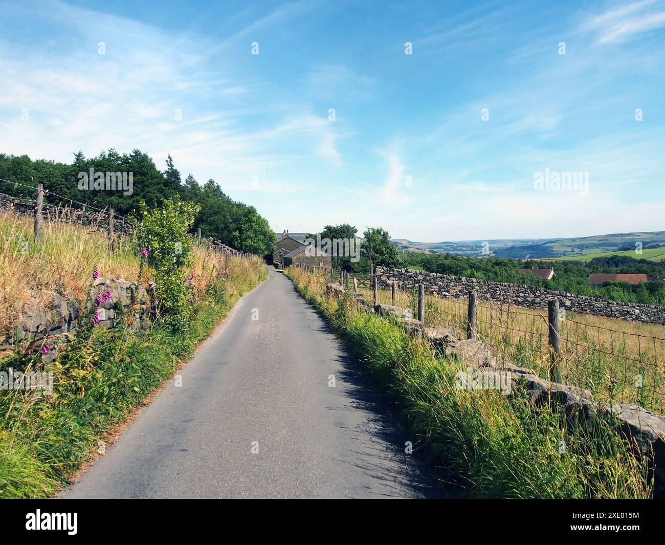 Perspektivische Aussicht entlang einer schmalen Landstraße mit einer Steinmauer und einem Bauernhaus umgeben von Feldern im Sommer in der Nähe des Dorfes Stockfoto