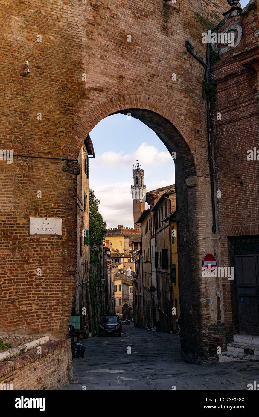 Straße in Siena mit Blick auf den Mangia Tower Stockfoto