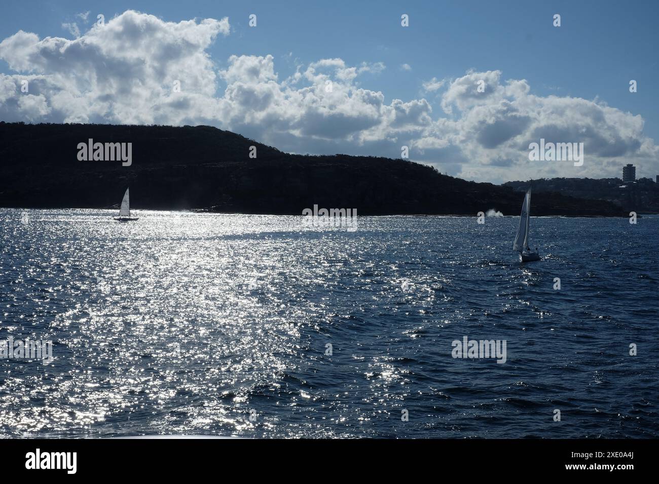 Yachten, die im Hafen von Sydney segeln, vom Nielsen Park in Vaucluse aus gesehen, mit Blick über das Buschland auf Middle Head – Gubbuh Gubbuh an einem sonnigen Nachmittag Stockfoto