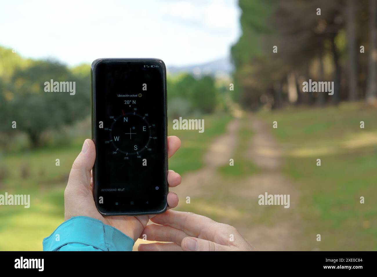 Frau, die sich mit dem Kompass ihres Smartphones im Wald orientiert Stockfoto