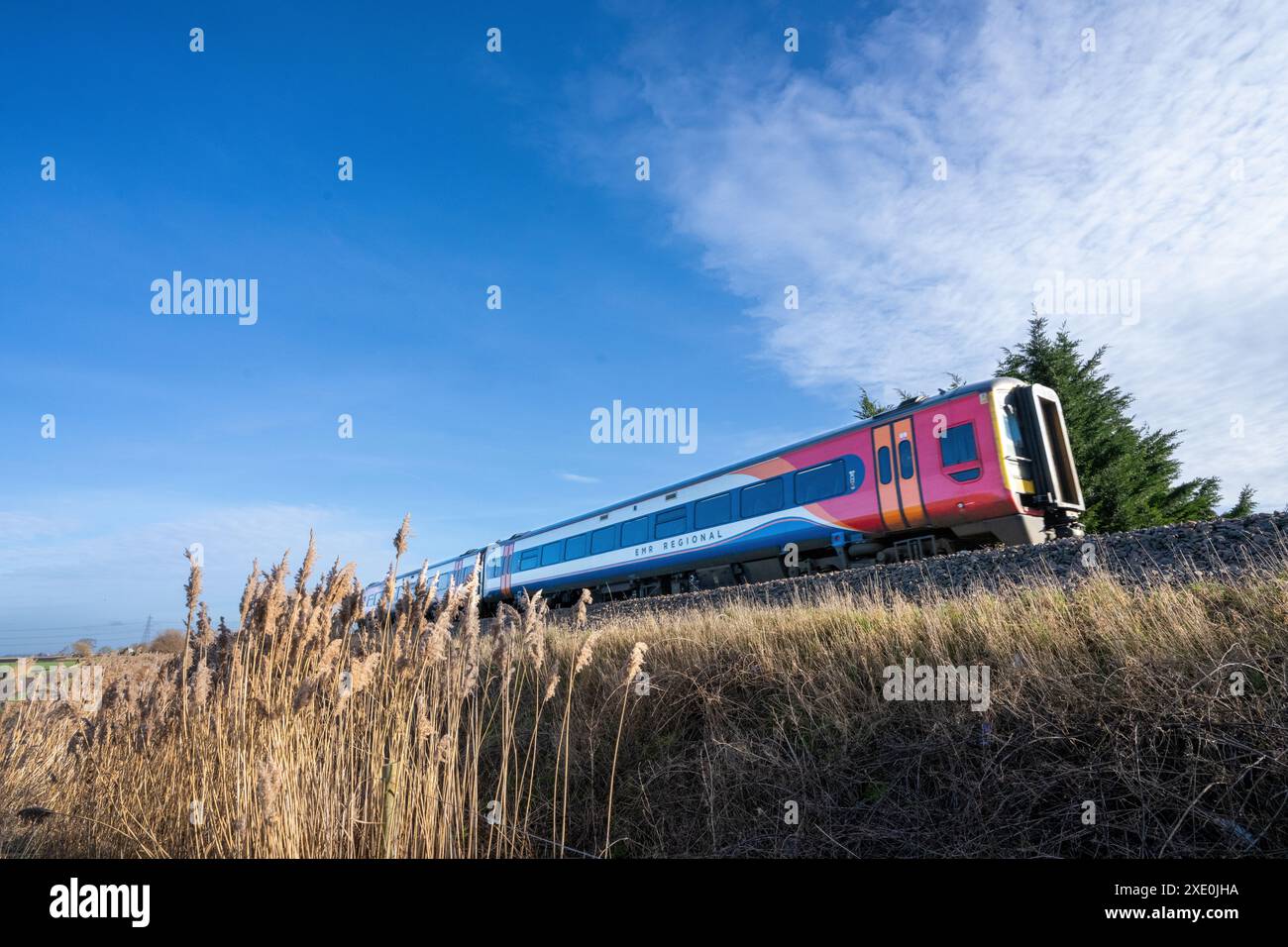Der Regionalzug East Midlands führt über flaches Fenland auf einem Damm mit grasbewachsenem Vorderboden unter blauem Himmel Stockfoto