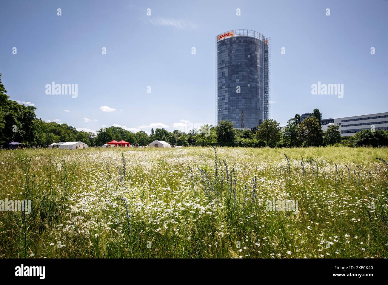 Blick vom Rheinauland auf den Postturm, Sitz des Logistikunternehmens Deutsche Post DHL Group, Bonn, Nordrhein-Westfalen Stockfoto