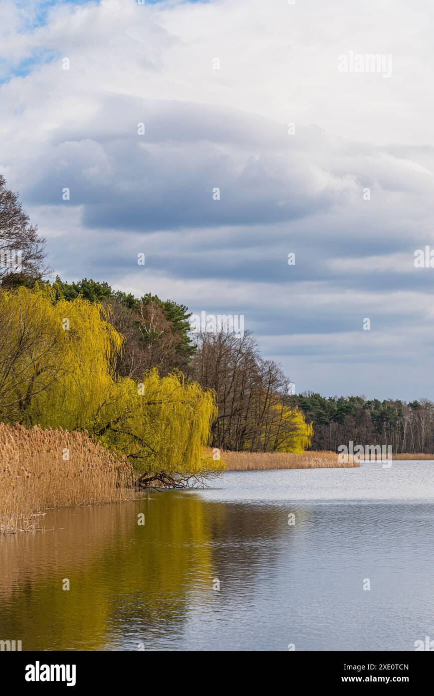 The Black Pool - Fischteich in der Oberlausitz 3 Stockfoto