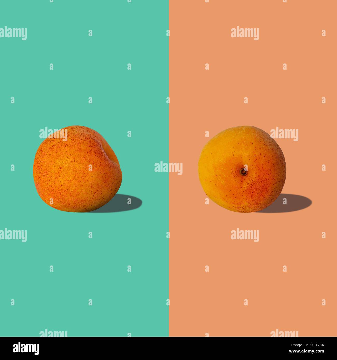 Aprikosenquadratische Komposition mit harten Schatten flach auf pastellfarbenen türkisfarbenen und orangen Hintergrund. Kreatives Layout aus frischen Sommerfrüchten. Vegane Ra Stockfoto