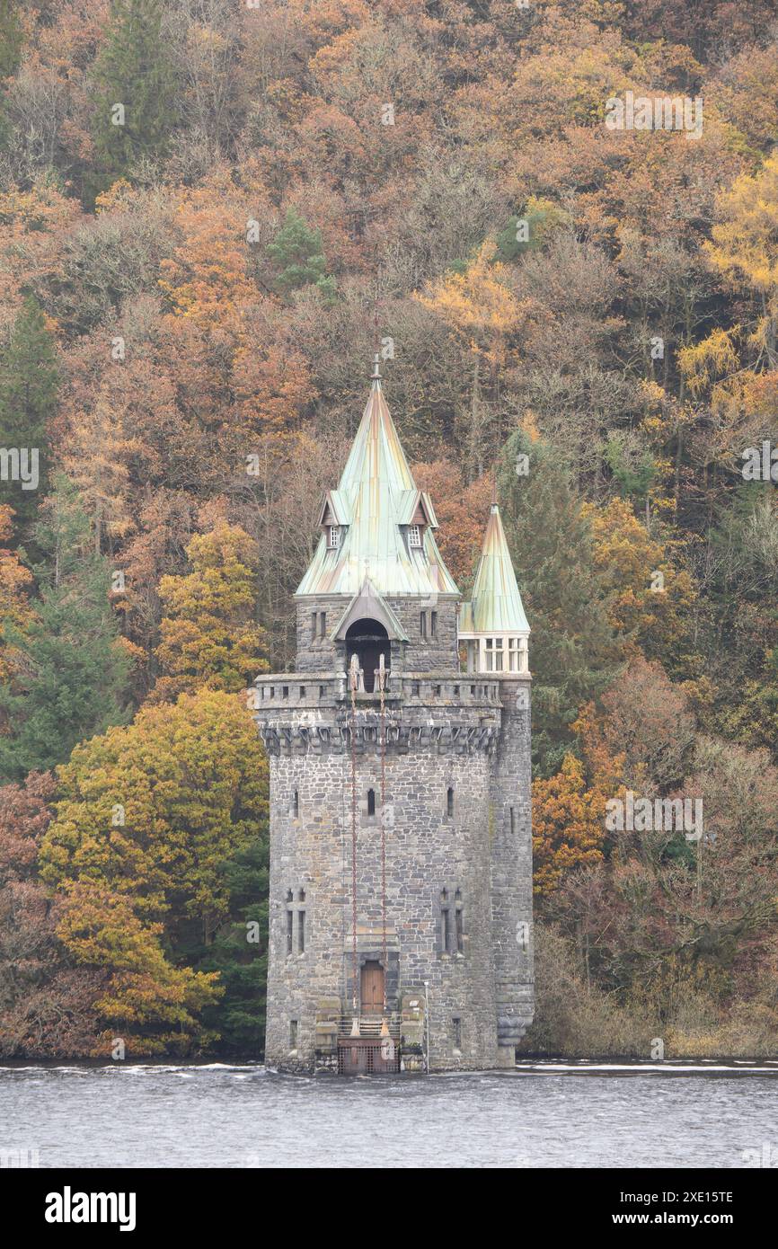 Rund um den Lake Vyrnwy im Herbst, Powys, Mid Wales, Großbritannien Stockfoto