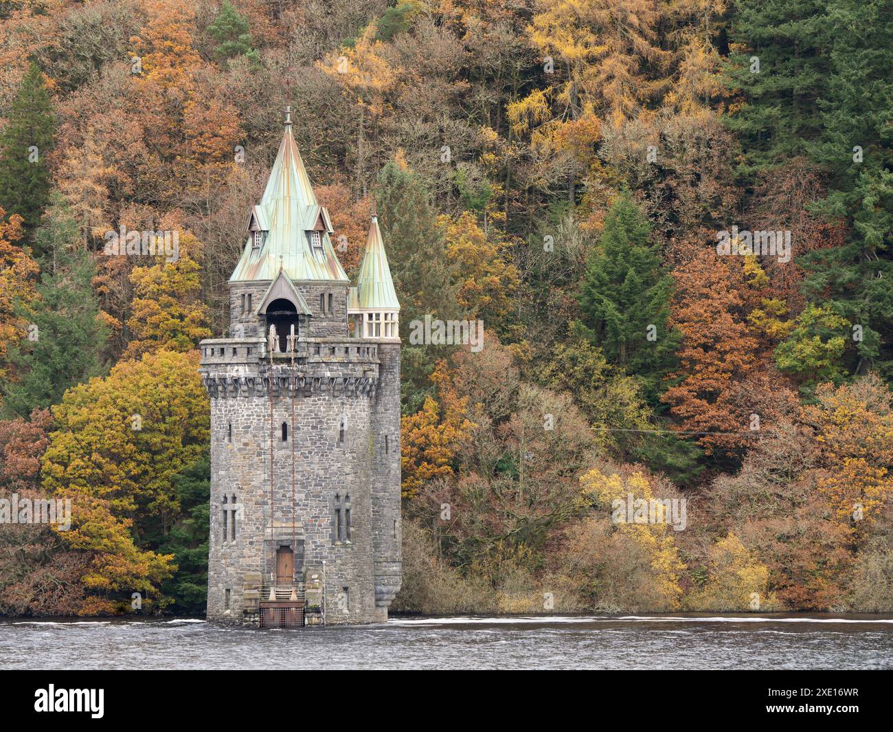 Rund um den Lake Vyrnwy im Herbst, Powys, Mid Wales, Großbritannien Stockfoto