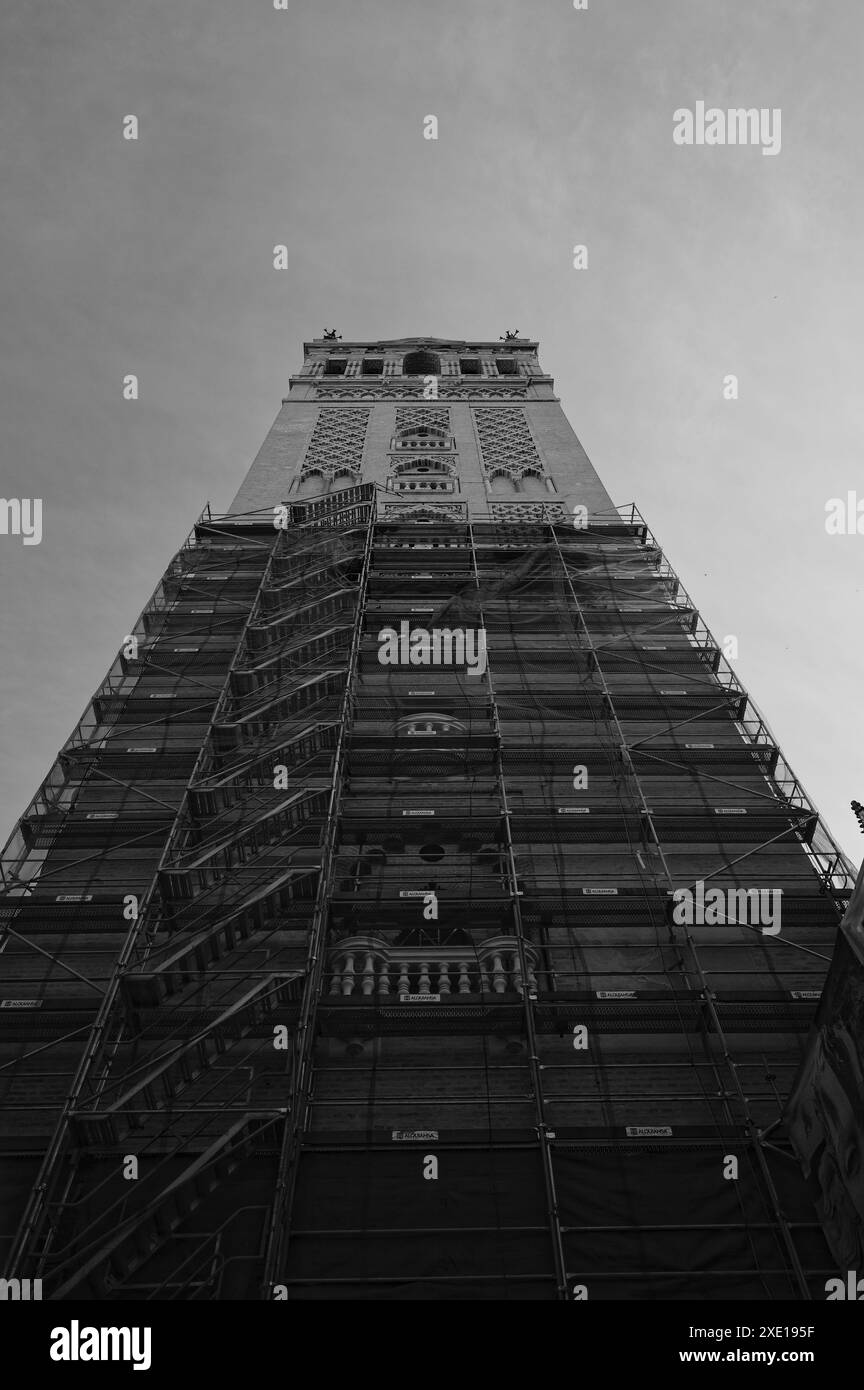 Der giralda-Turm, umgeben von Gerüsten während der Instandhaltungsarbeiten in Sevilla Stockfoto