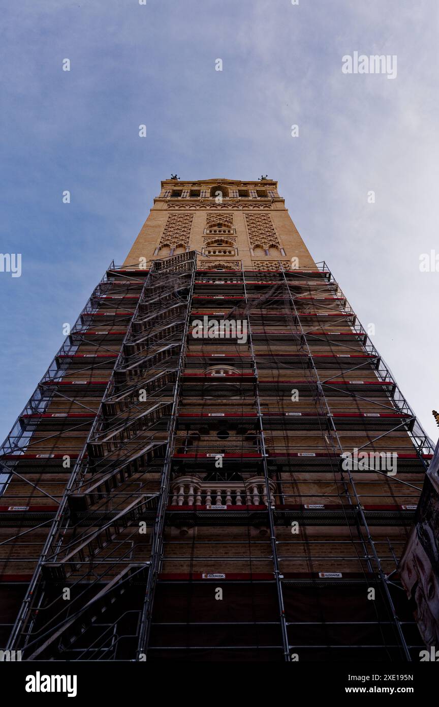Der giralda-Turm, umgeben von Gerüsten während der Instandhaltungsarbeiten in Sevilla Stockfoto