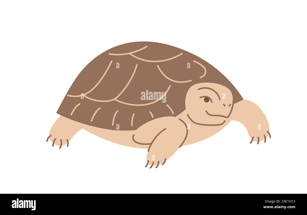 Schildkröte Reptil Haustier Kritzele handgezeichnete Figur. Süßes, lächelndes, exotisches Terrarientier im linearen Cartoon-Stil. Bearbeitbare Konturdarstellung Stock Vektor