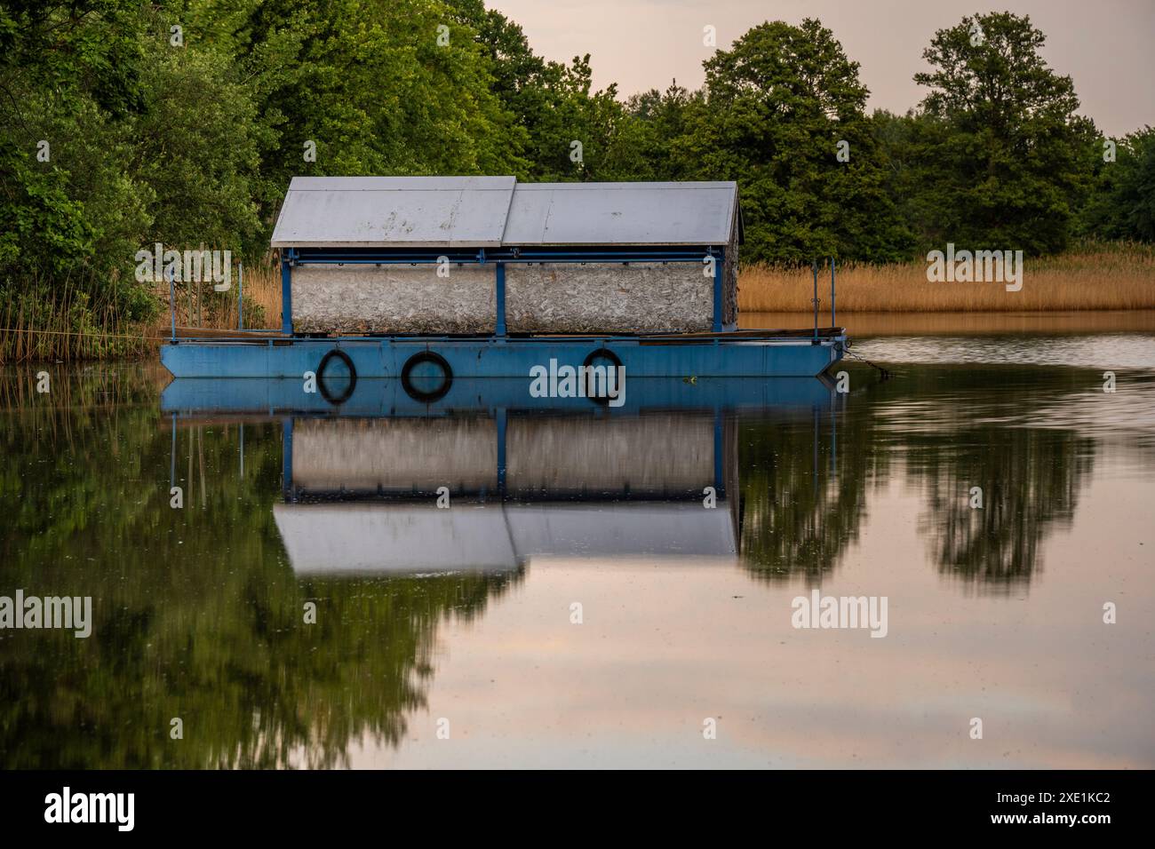 Automatische Fischfutteranlage im Karpfenteich 1 Stockfoto