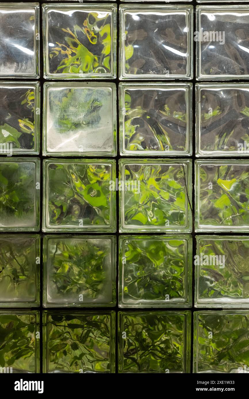 Glasblöcke als Fenster mit Natur im Hintergrund Stockfoto