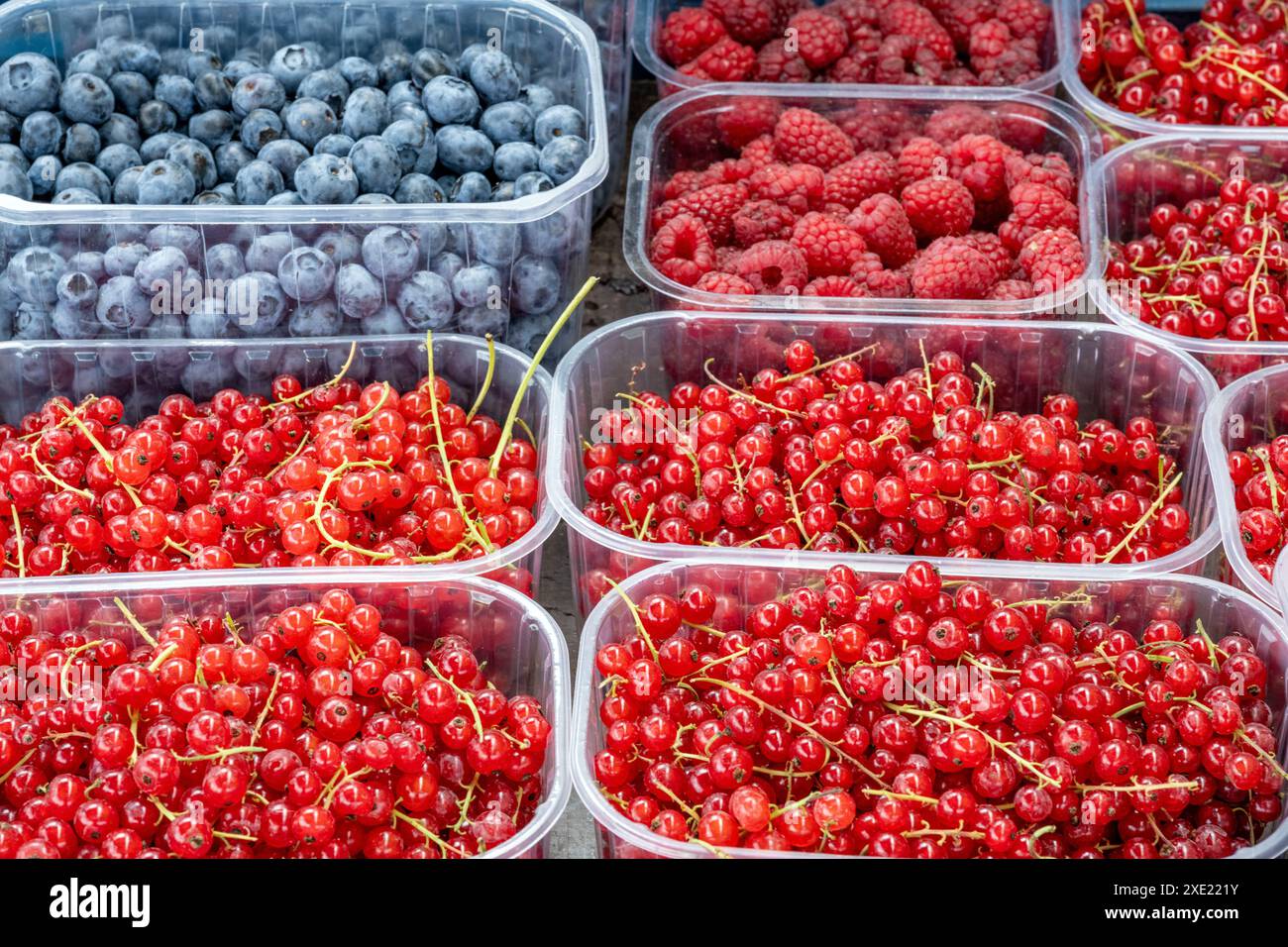 Rote und blaue Beeren zum Verkauf auf einem Markt Stockfoto