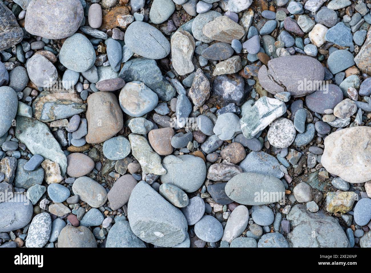 Hintergrund von kleinen Kieselsteinen und Steinen an der Küste oder im Garten Stockfoto