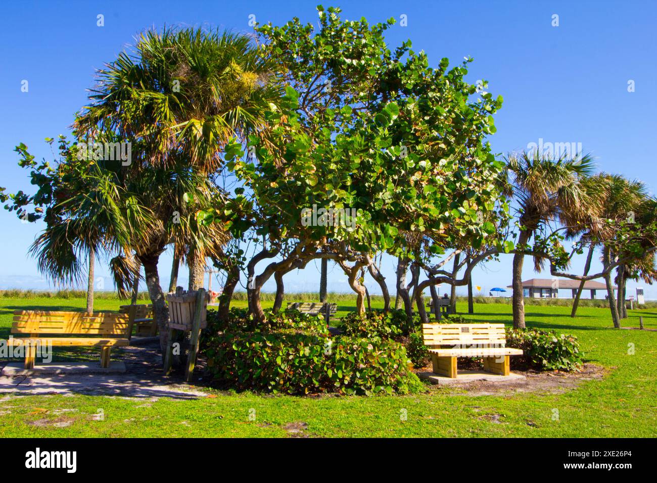 Kleiner Park mit Bäumen, Vero Beach, Florida Stockfoto