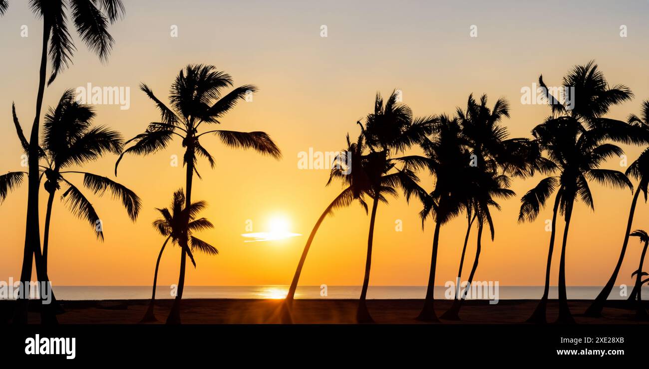 Die ruhige Strandszene bietet faszinierende Silhouetten von Palmen. Stockfoto