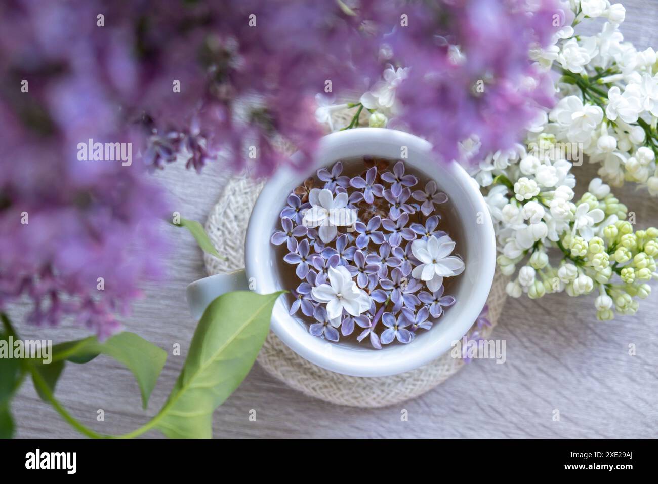 Leckerer schwarzer Tee in weißer Tasse auf Fensterbank mit aromatischen Fliederblüten. Frühlingszusammensetzung Tasse Fliedertee Trinkrezeptfluss Stockfoto