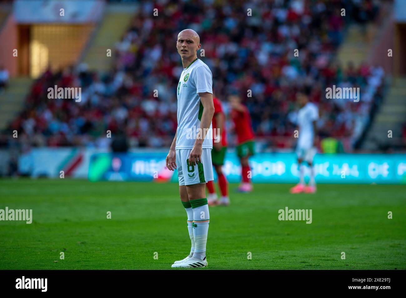 Wird Smallbone Action aus dem Spiel gegen Irland Stockfoto