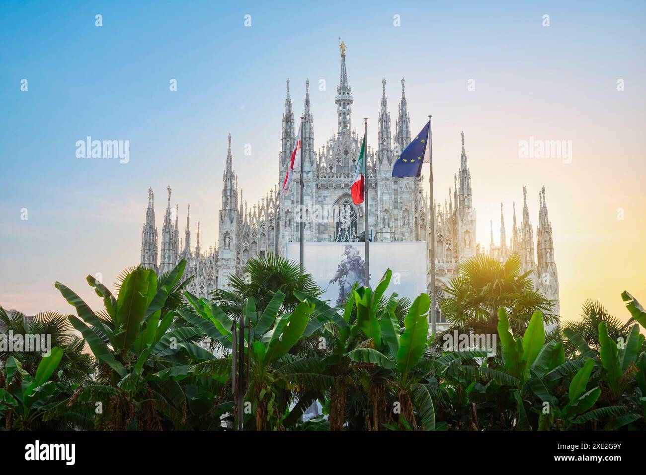 Dom und Palmen Stockfoto Dom und Palmen Stockfoto