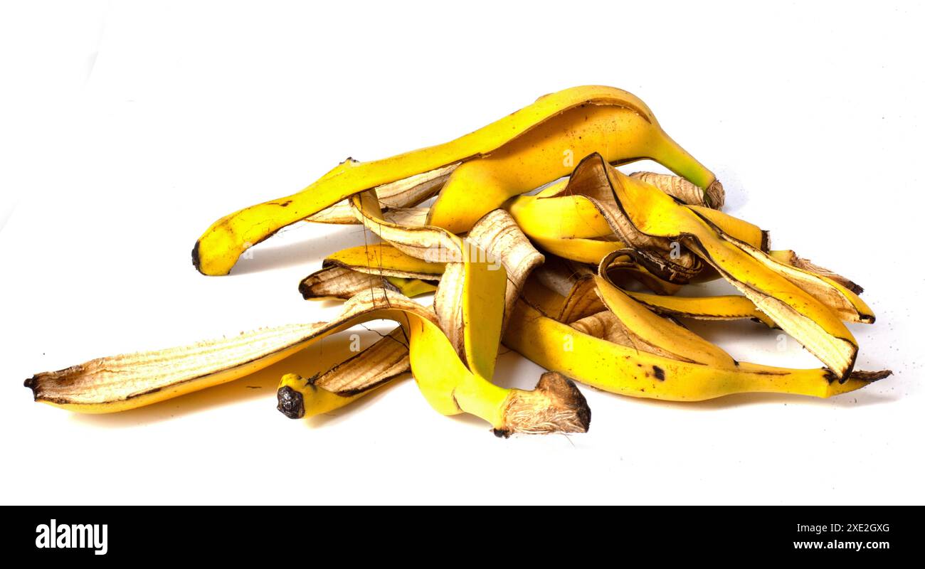 Ein Haufen Bananenschalen, organischer Obstabfall auf weißem Hintergrund. Stockfoto