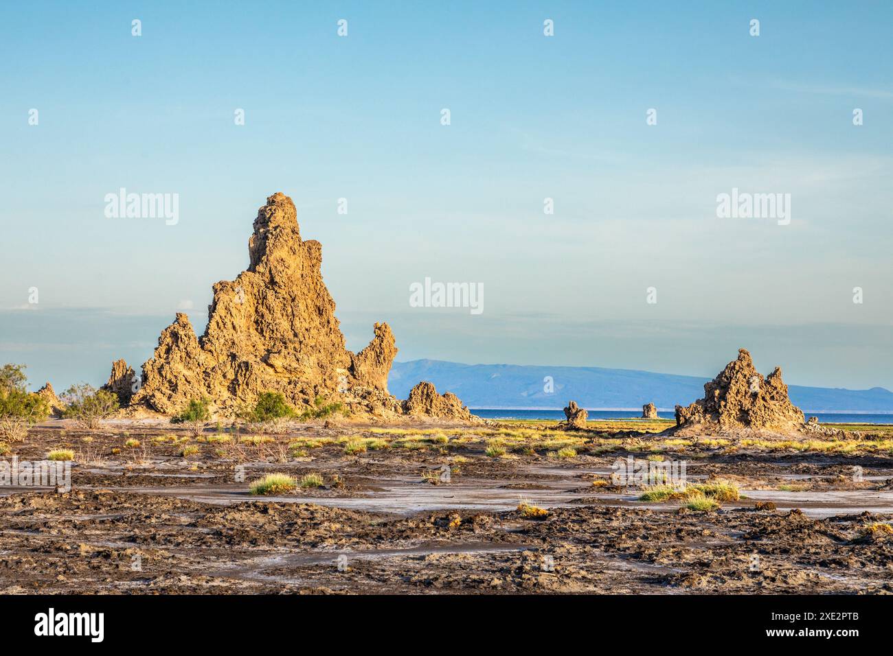 Kalkstein prähistorische Schornsteine geologische Felsformationen am Boden des getrockneten Sees, Salzsee Abbe, Dikhil Region, Dschibuti Stockfoto