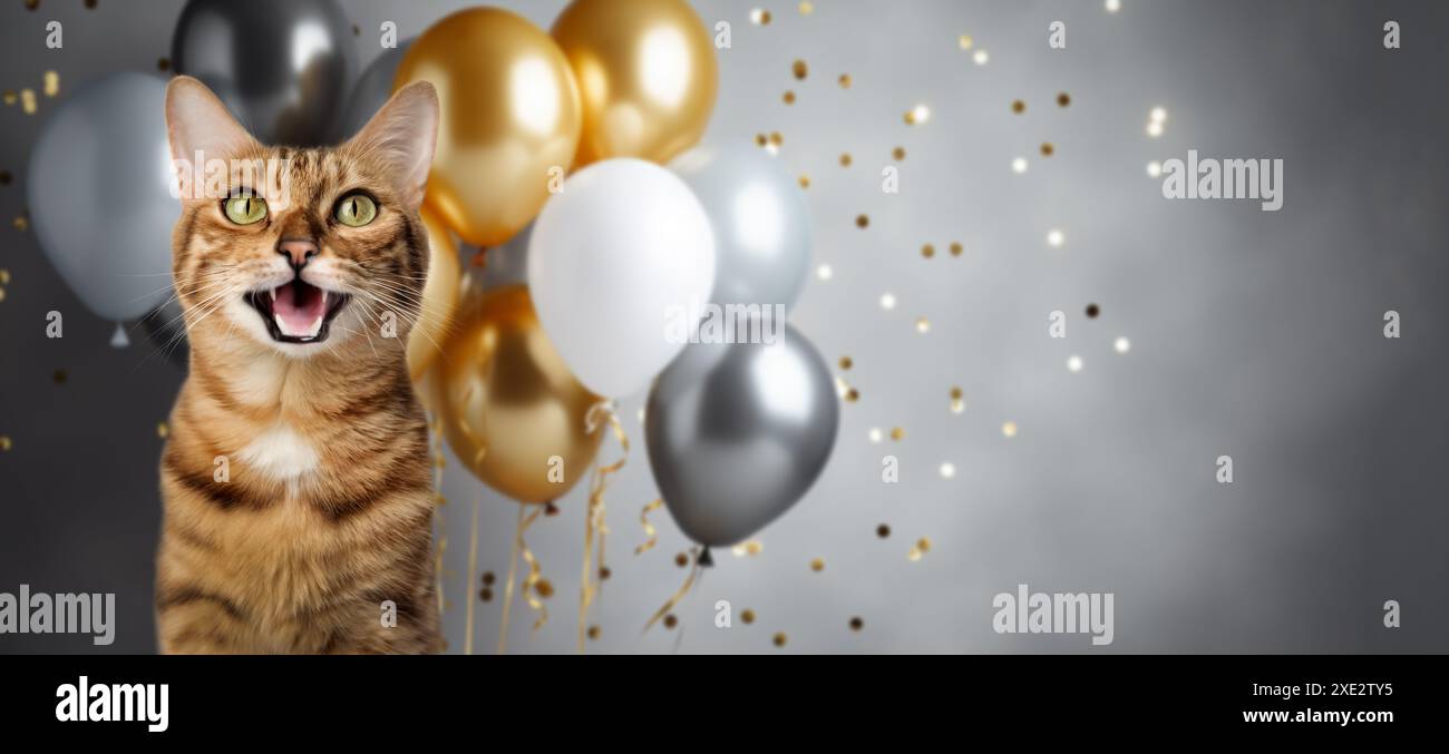 Lustiges Porträt einer fröhlich lächelnden bengalischen Katze auf festlichem Hintergrund mit Ballons und Konfetti. Stockfoto