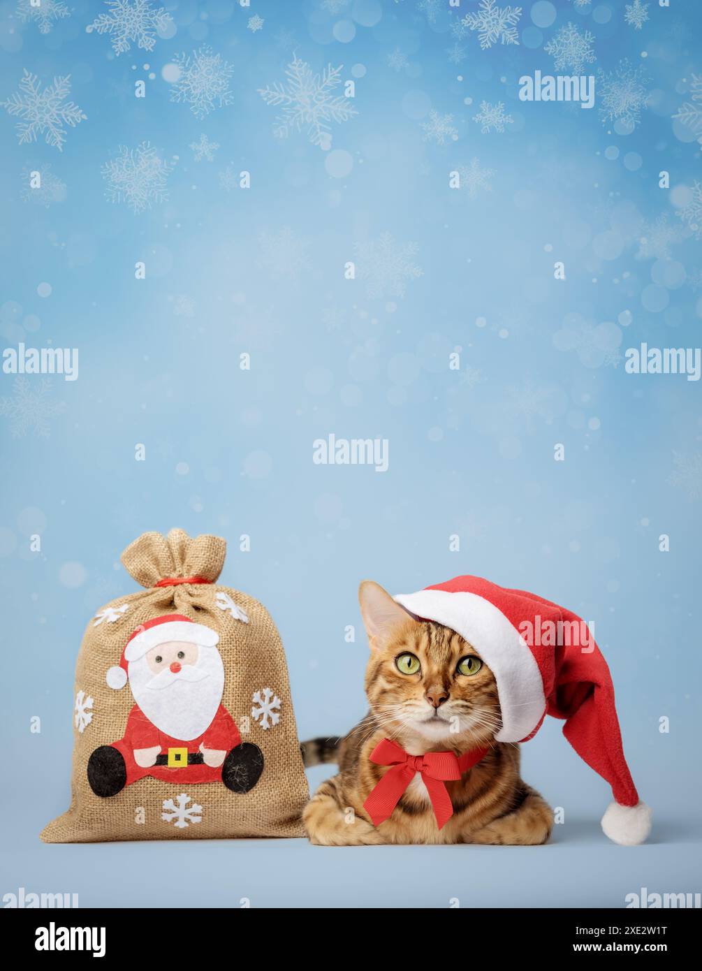 Rote Katze in einem Weihnachtsmann-Hut mit einer Tasche voller Geschenke auf einem Winterhintergrund. Stockfoto