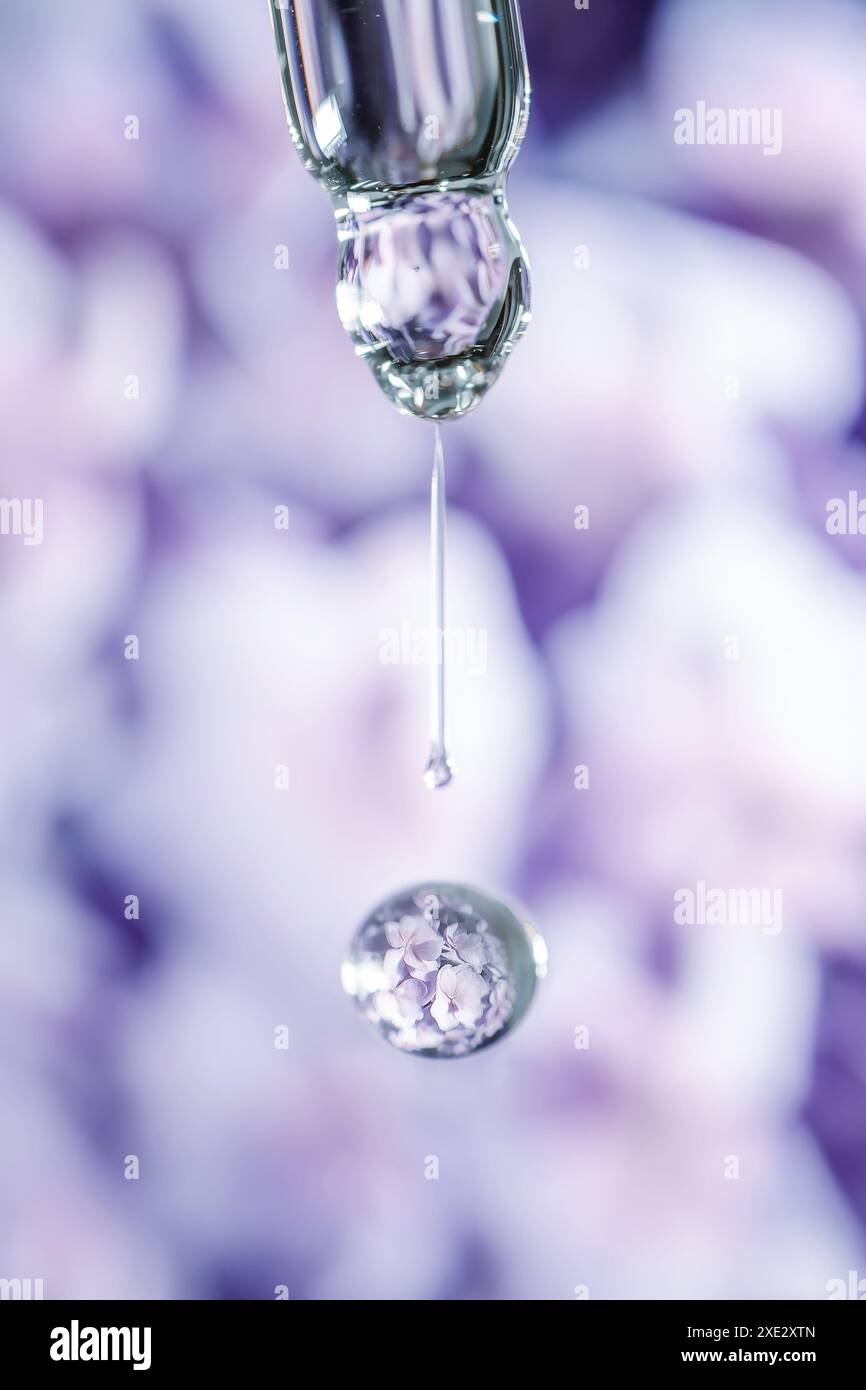 Ein Tropfen Kosmetiköl fällt von der Pipette auf einem violetten floralen Hintergrund. Stockfoto