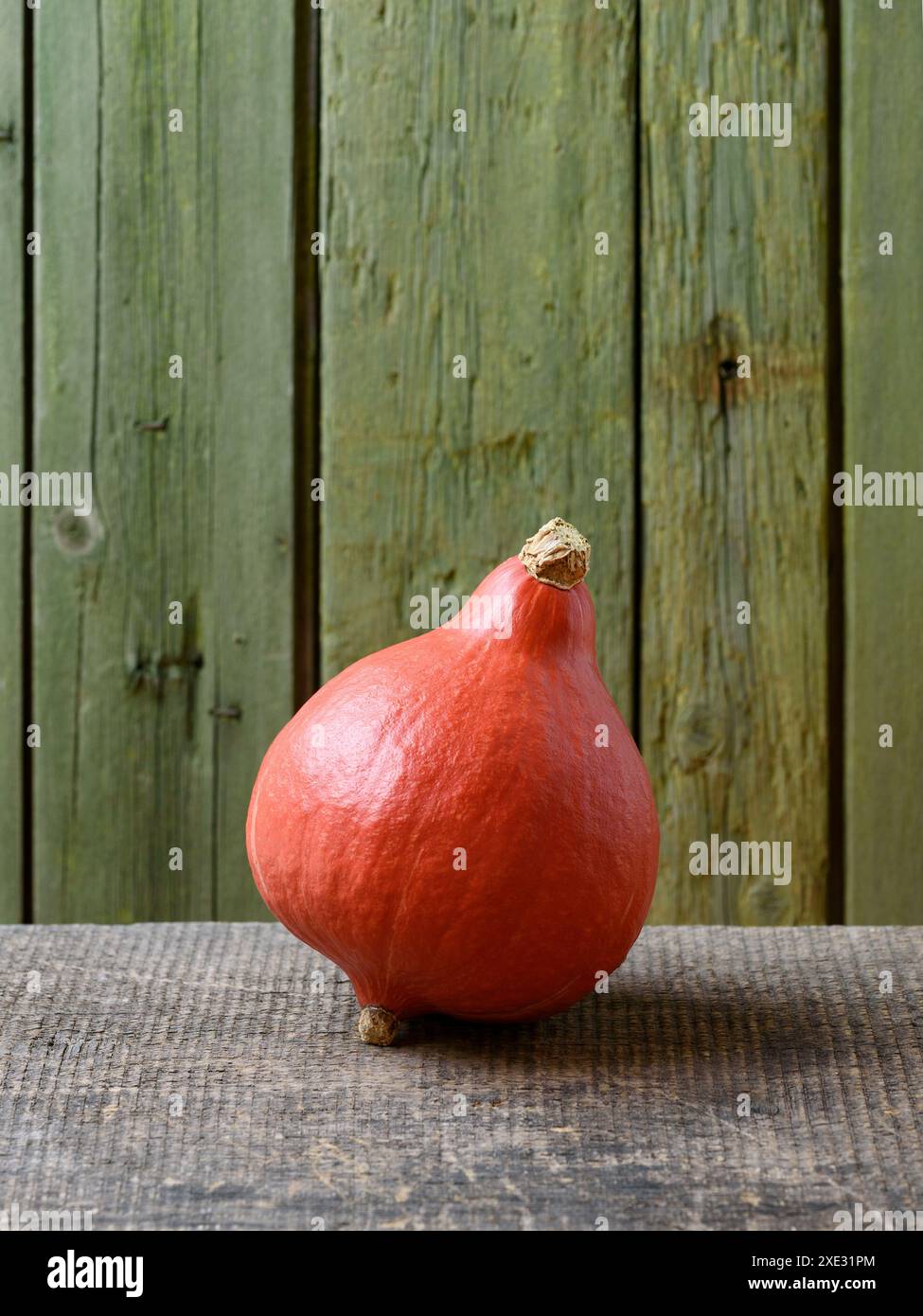 Roter Kuri oder Uchiki Kuri Kürbis oder Hokkaido Kürbis auf einem alten Holztisch mit grünem Hintergrund und Kopierraum Stockfoto