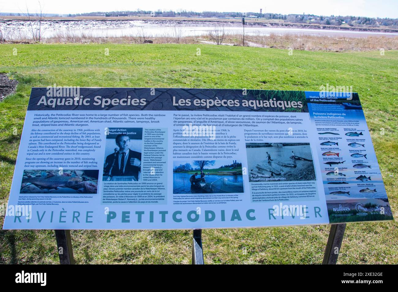 Wassertierschild im Riverfront Park im Zentrum von Moncton, New Brunswick, Kanada Stockfoto