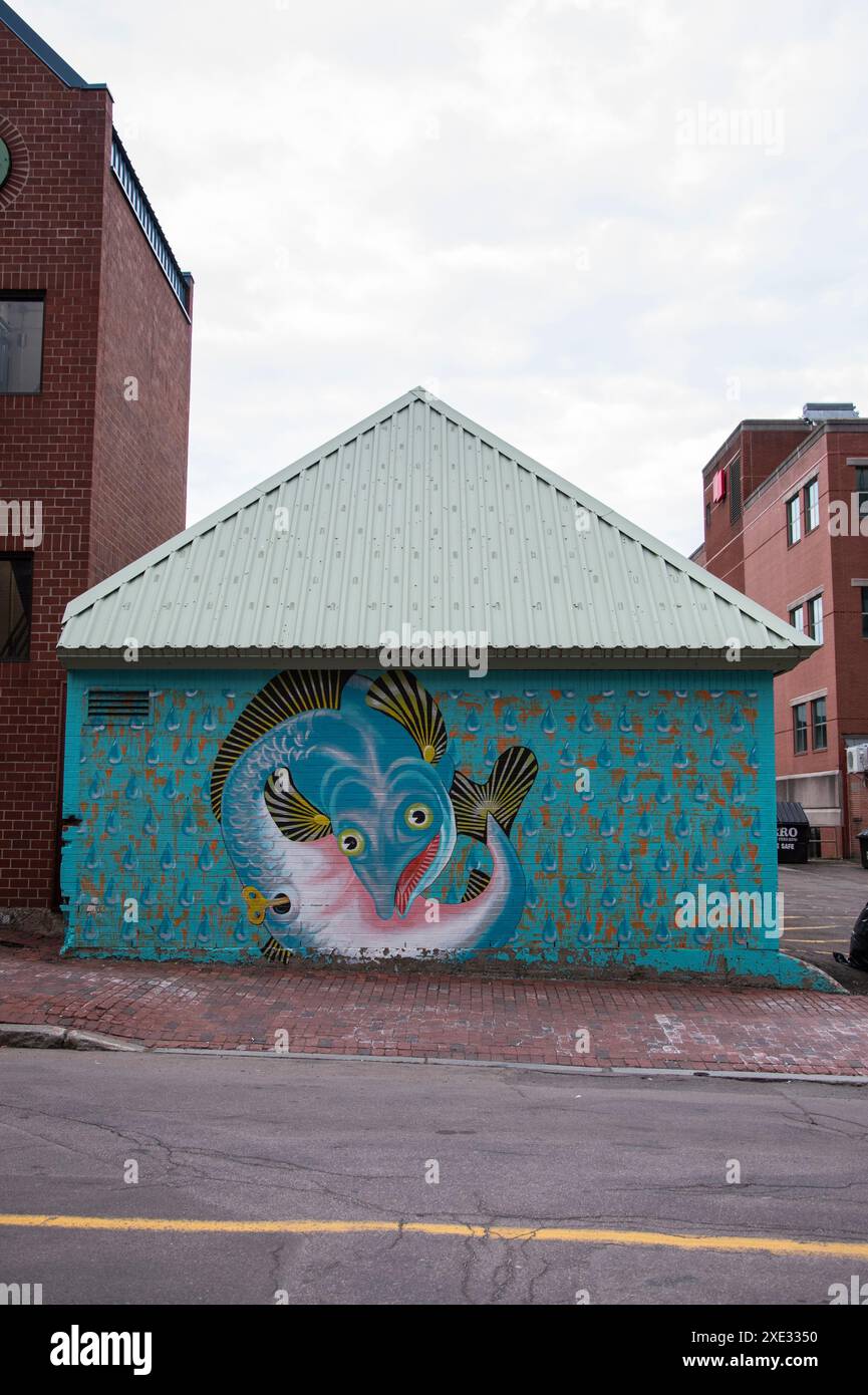 Fischgemälde in der Alma Street im Zentrum von Moncton, New Brunswick, Kanada Stockfoto