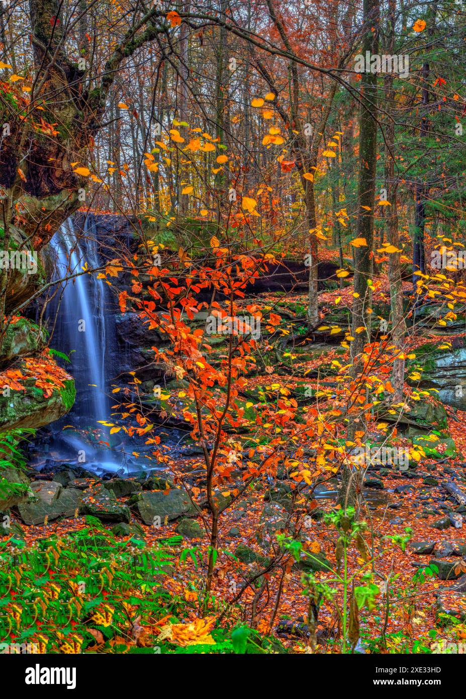 Lower Dundee Falls im Herbst, Beach City Wilderness Area, Ohio Stockfoto