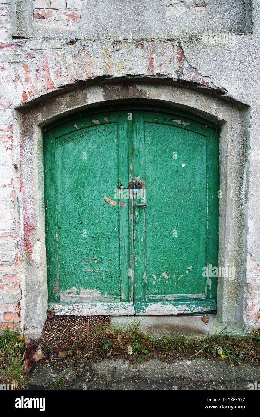 Alte, grüne Kellertür Stockfoto