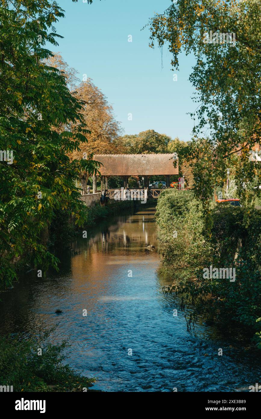 Eine Holzbrücke im Park mit Herbstfarben von Bietigheim-Bissingen. Europa. Herbstlandschaft in der Natur. Herbst Stockfoto