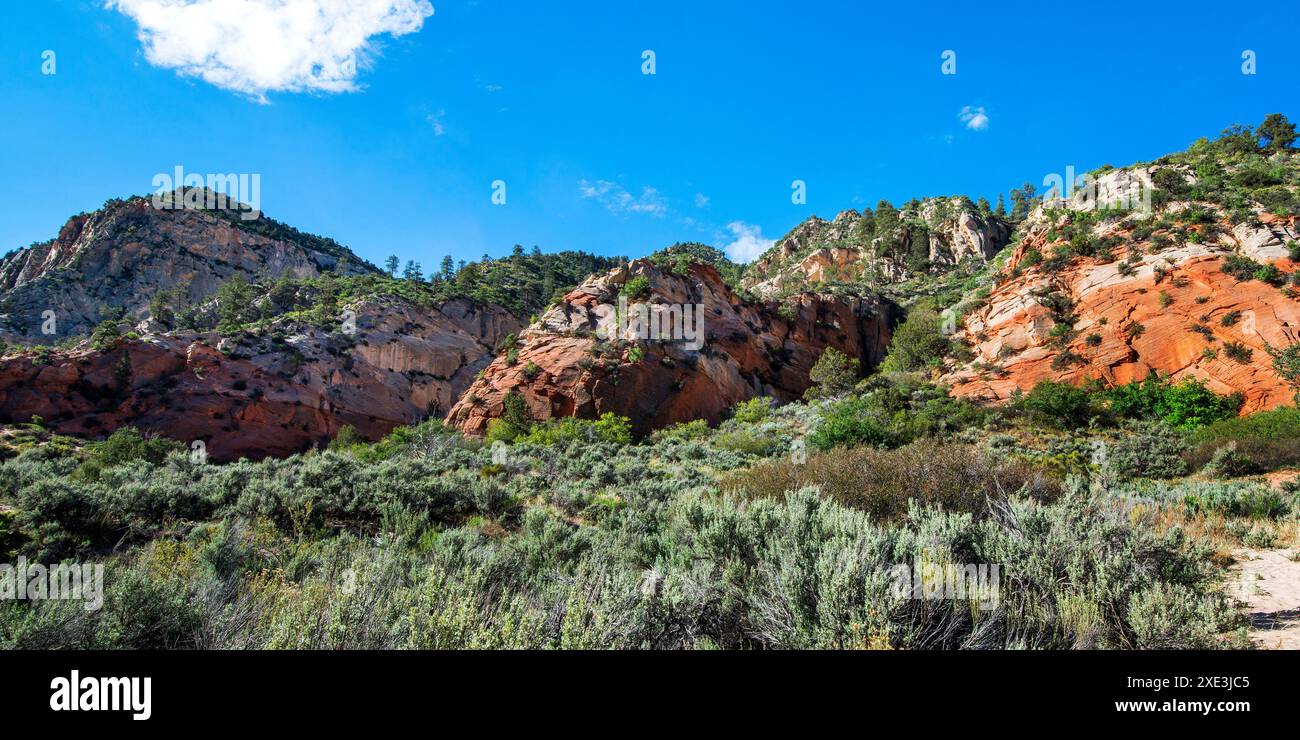 Red Hollow Slot Canyon Trail – hoch aufragende Felsformationen bieten einen atemberaubenden geologischen Kontrast mit leuchtenden roten und hellen Steinschichten. Stockfoto