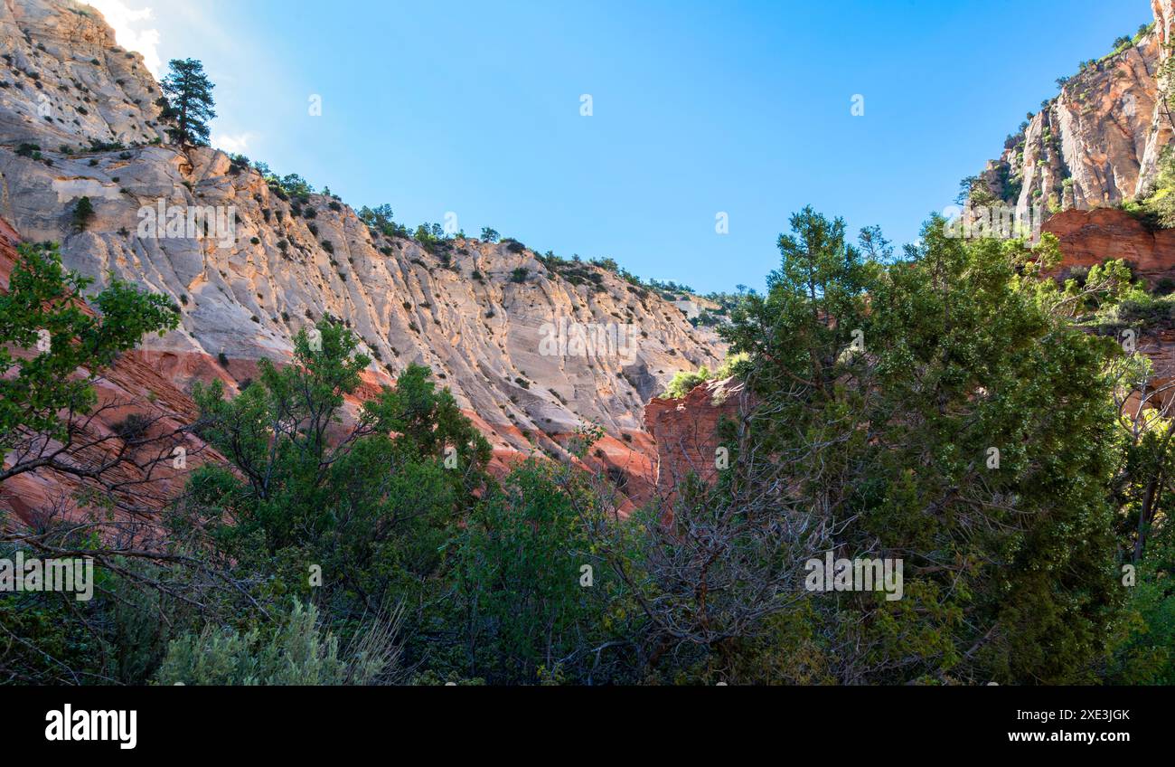 Red Hollow Slot Canyon Trail – hoch aufragende Felsformationen bieten einen atemberaubenden geologischen Kontrast mit leuchtenden roten und hellen Steinschichten. Stockfoto