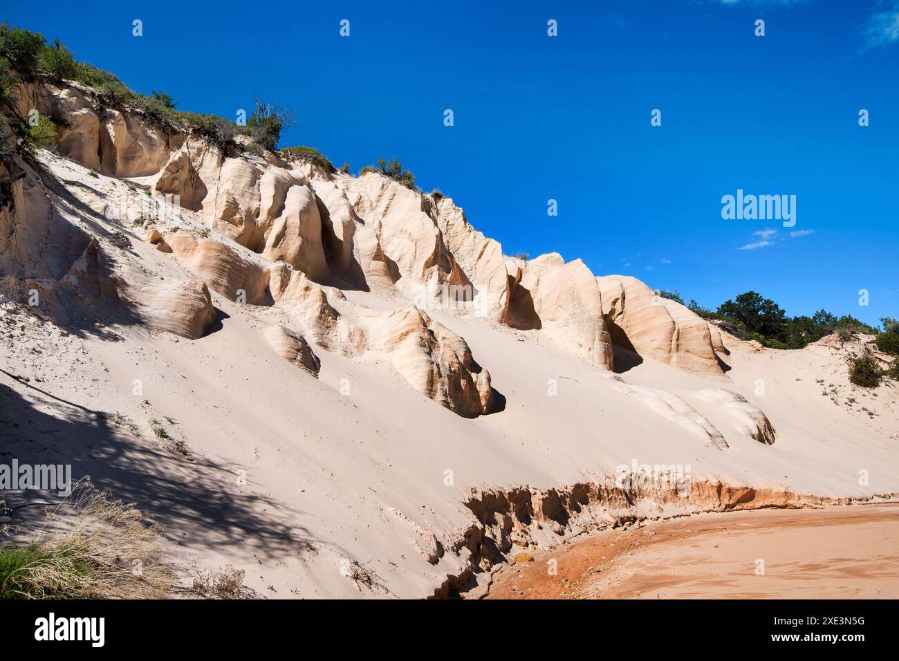 Weiße Sandsteinwände, Red Hollow Canyon Trail, Orderville, Utah Stockfoto