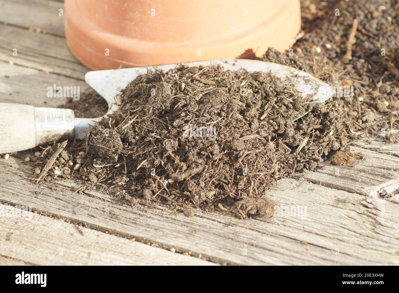Torffreier Vergussboden Stockfoto