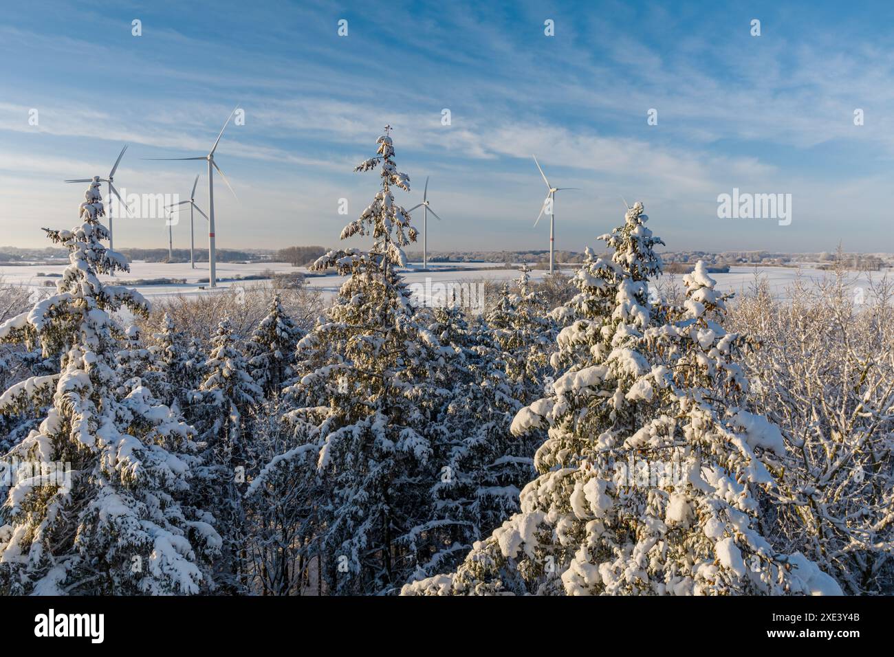 Blick auf die Winterlandschaft mit Tannenbäumen bedeckt mit Schnee und Windturbinen im Hintergrund. Kiefer t Stockfoto