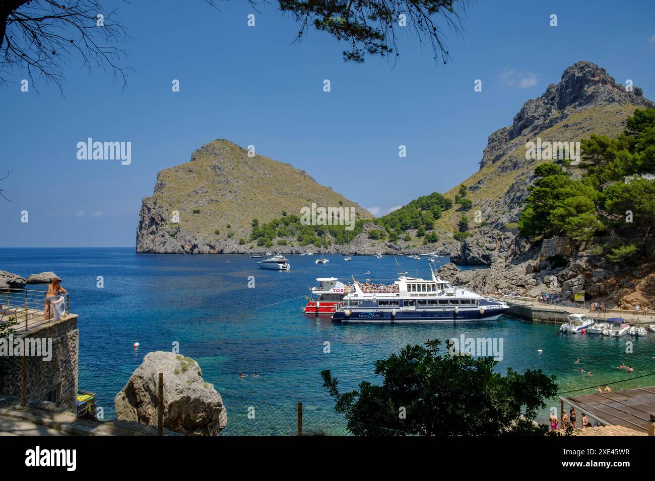 Golondrinas Stockfoto