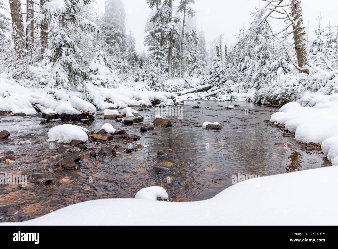 Winterwanderung rund um den Oderteich Bilder aus dem winterlichen Nationalpark Harz Niedersachsen Stockfoto